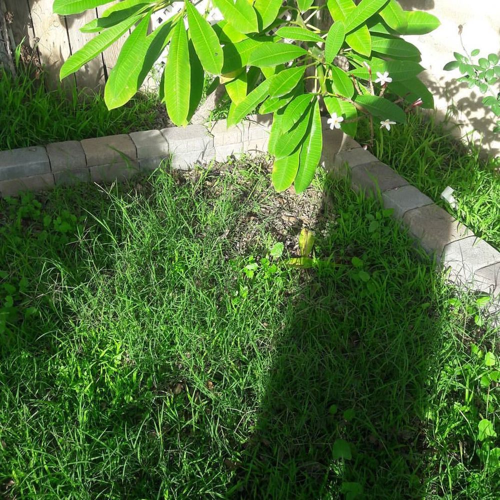 Meet your Posher, Frank